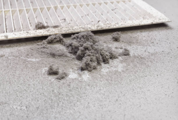 Best HVAC Air Duct Cleaning  in Freeman, SD